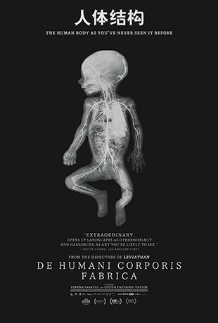 ṹ - De Humani Corporis Fabrica