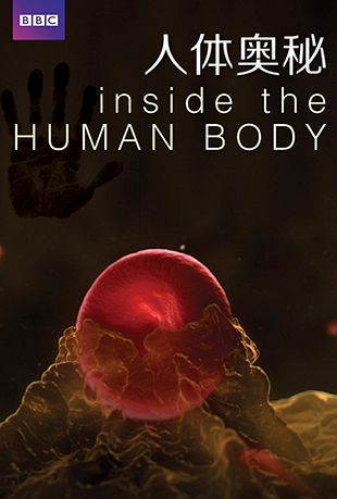  - Inside the Human Body