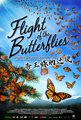 Ǩ - Flight of the Butterflies