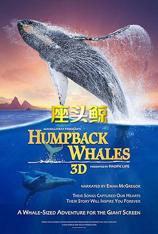 ͷ - Humpback Whales