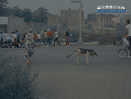 狂野风格蓝光原盘截图