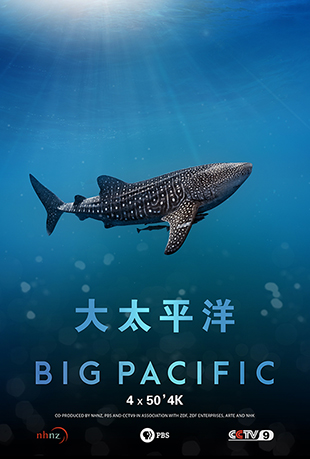̫ƽ - Big Pacific