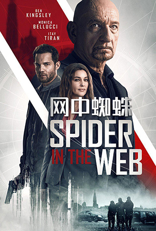 ֩ - Spider In The Web