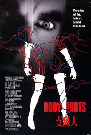 ֧ - Body Parts