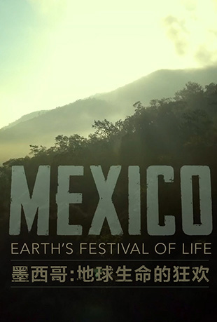 ī磺Ŀ - Mexico: Earth's Festival Of Life
