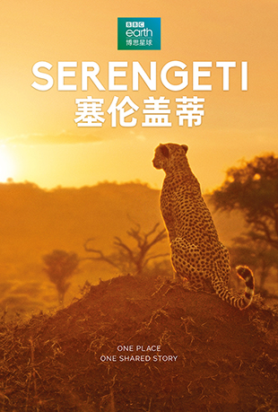 ׸ǵ - Serengeti