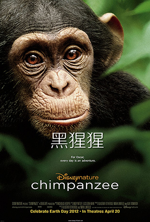  - Chimpanzee