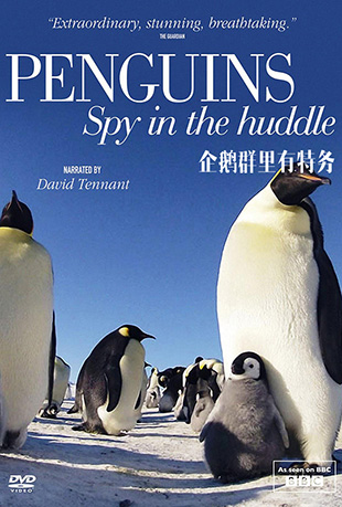 Ⱥ - Penguins: Spy in the Huddle