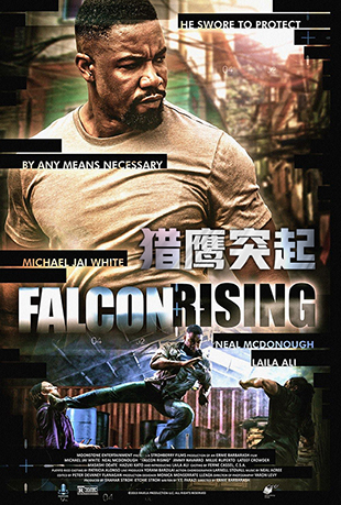 ӥͻ - Falcon Rising