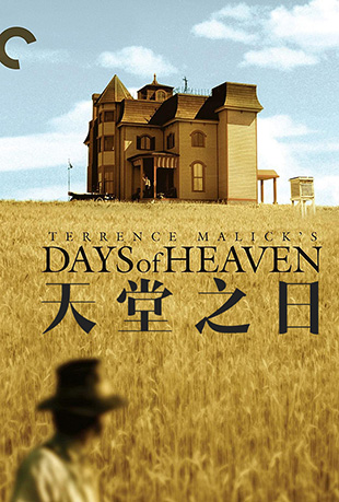 ֮ - Daysof Heaven